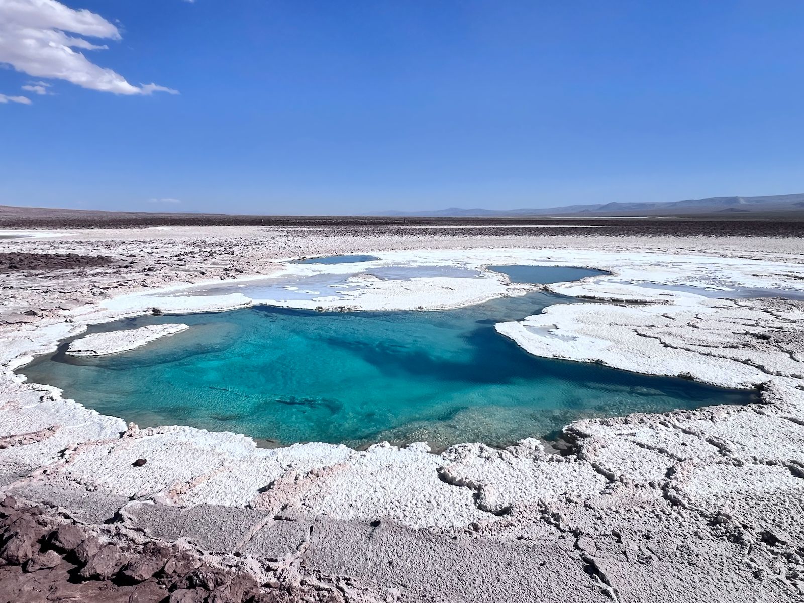 Baltinache Lagoons